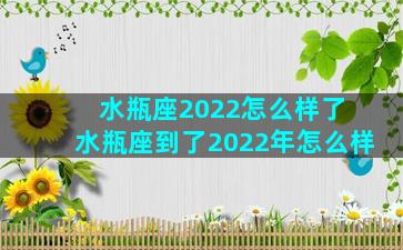 水瓶座2022怎么样了 水瓶座到了2022年怎么样